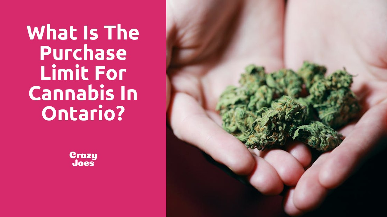 What is the purchase limit for cannabis in Ontario?