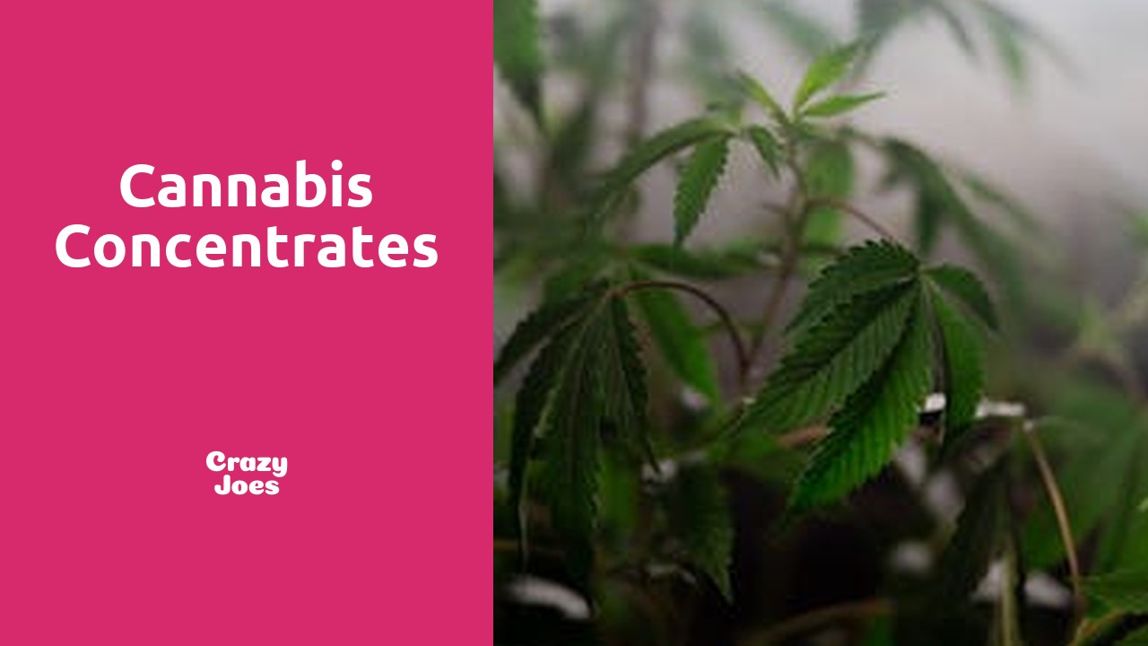 Cannabis Concentrates