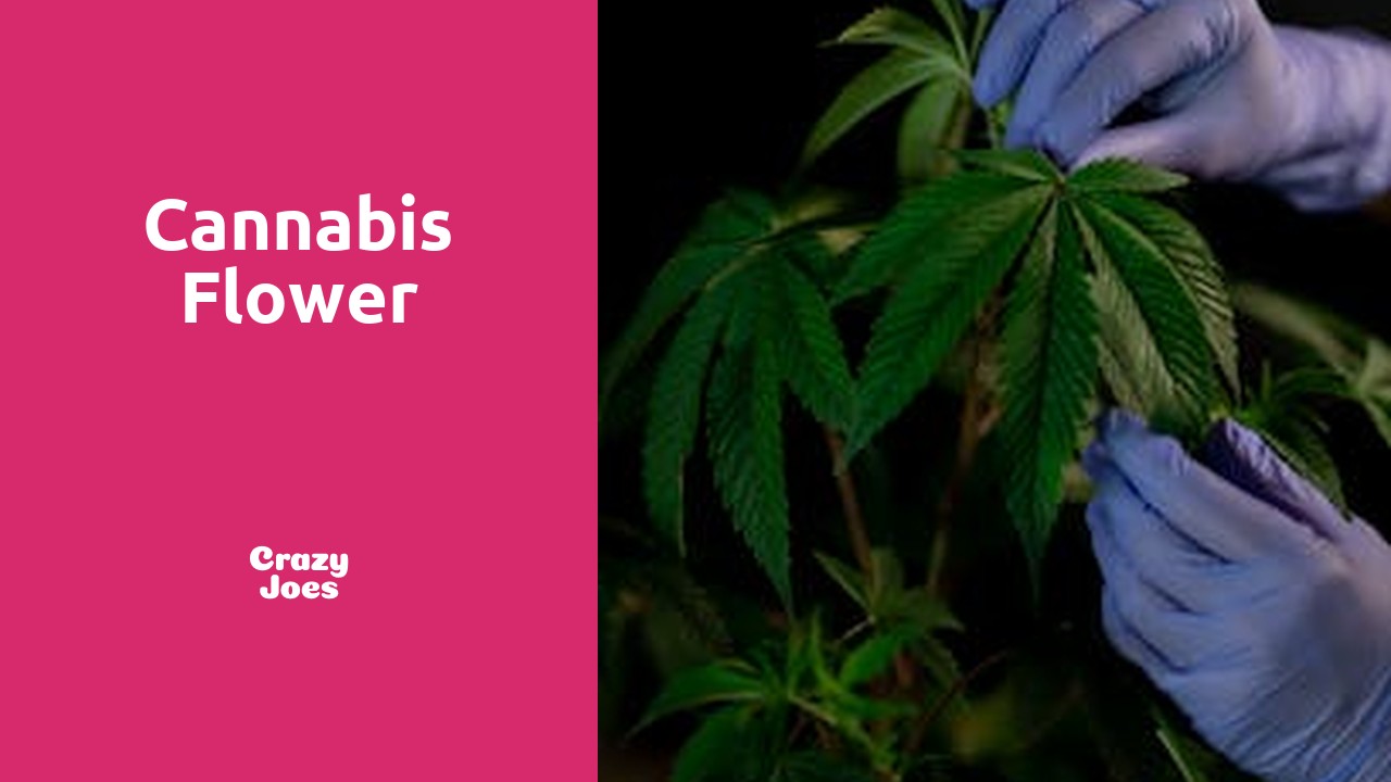 Cannabis Flower